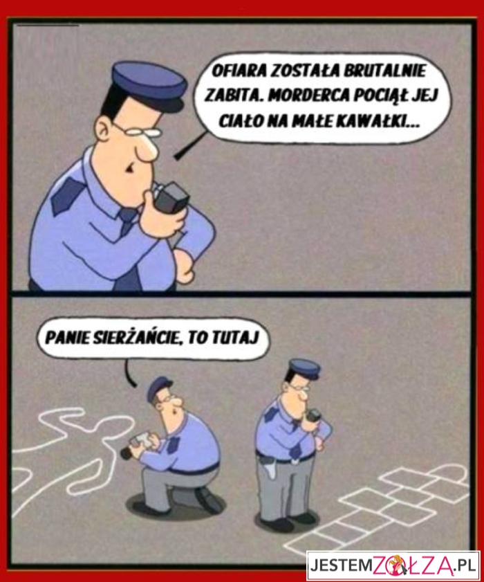 Policja