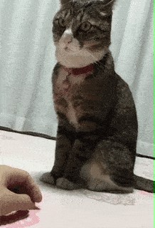 Nie