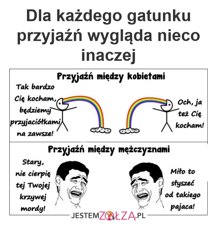 Przyjaźń