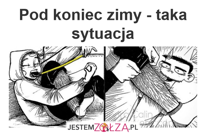 Nogi