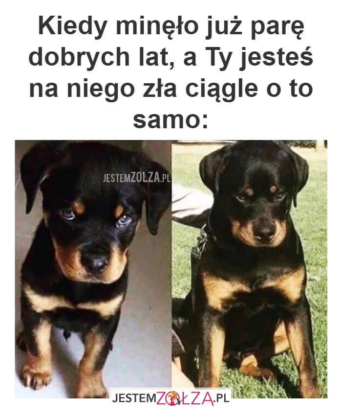 Zła