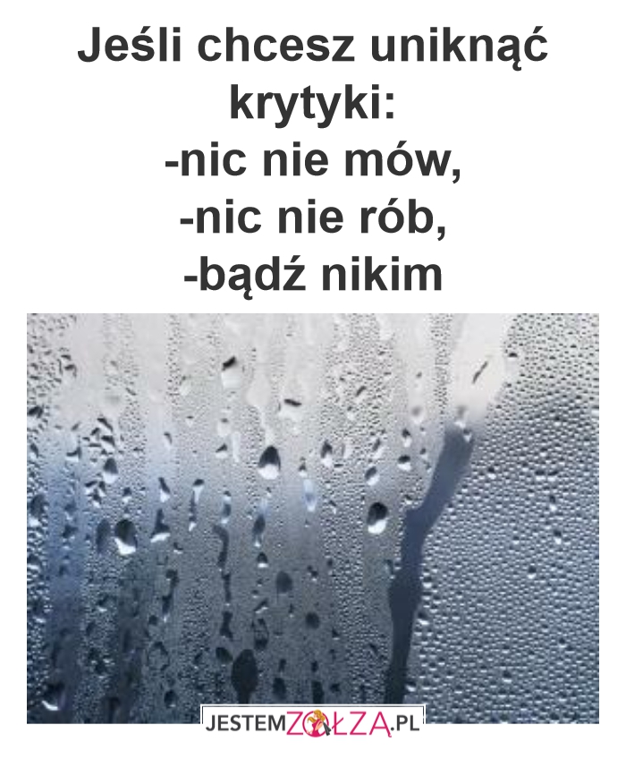 Krytyka