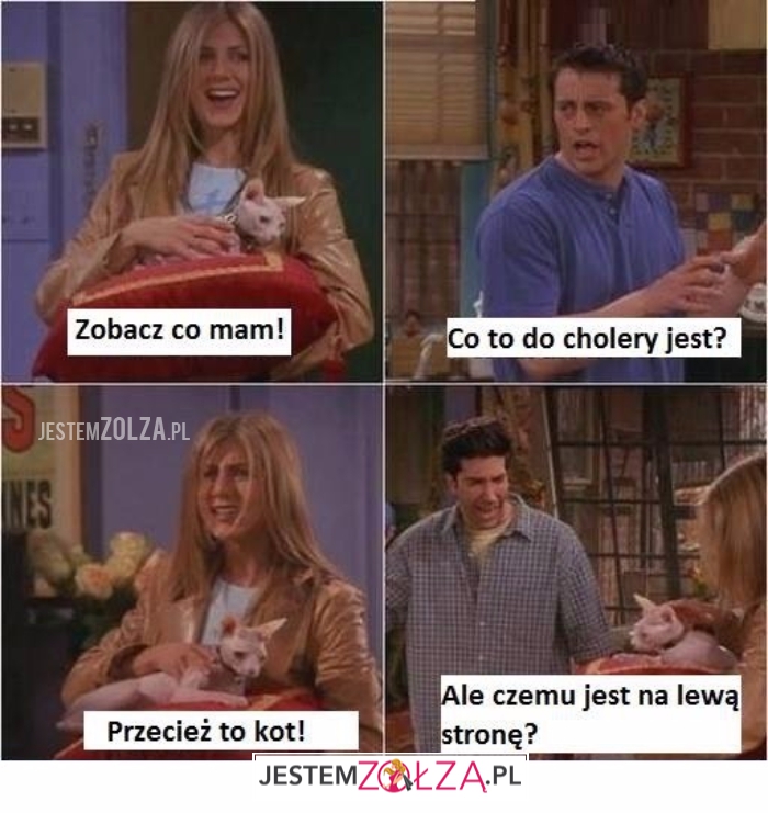 Zobacz co mam