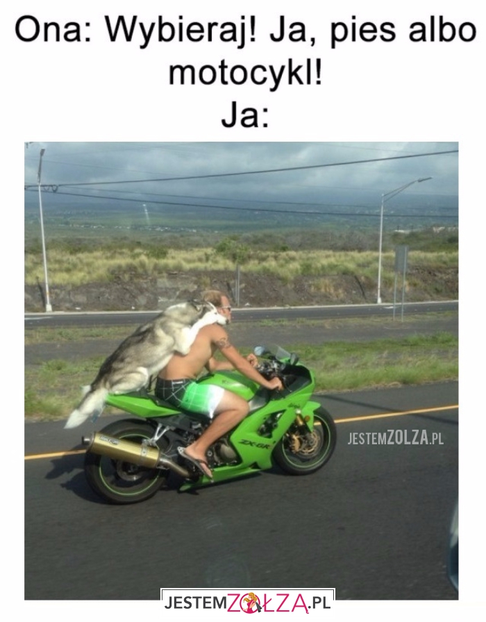 Wybieraj