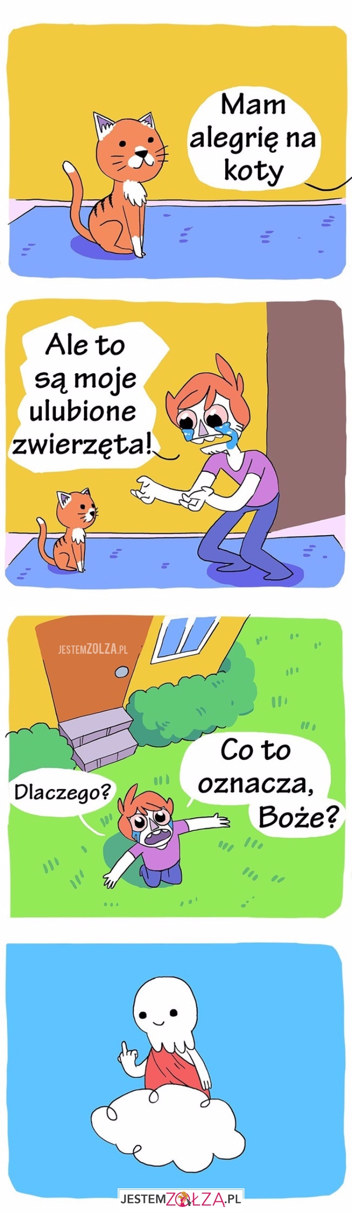 Mam alergię na koty