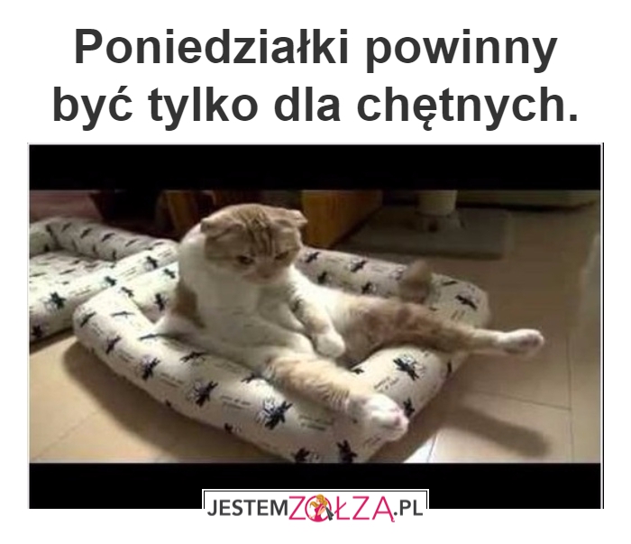 Poniedziałek