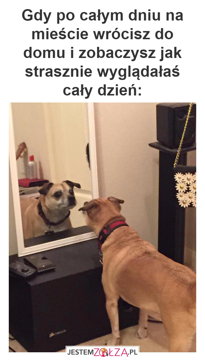 Cały dzień