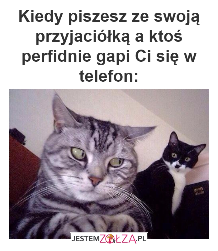 SMS'y