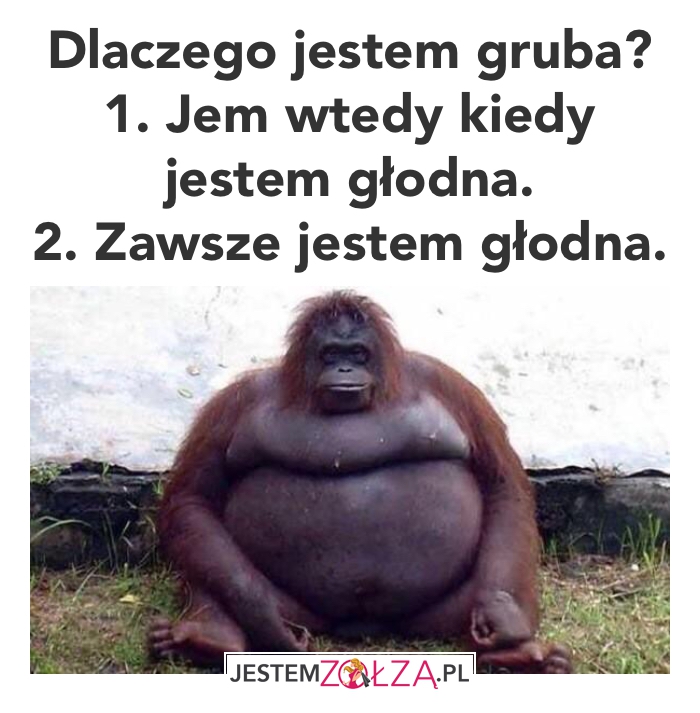 Dlaczego jestem gruba?