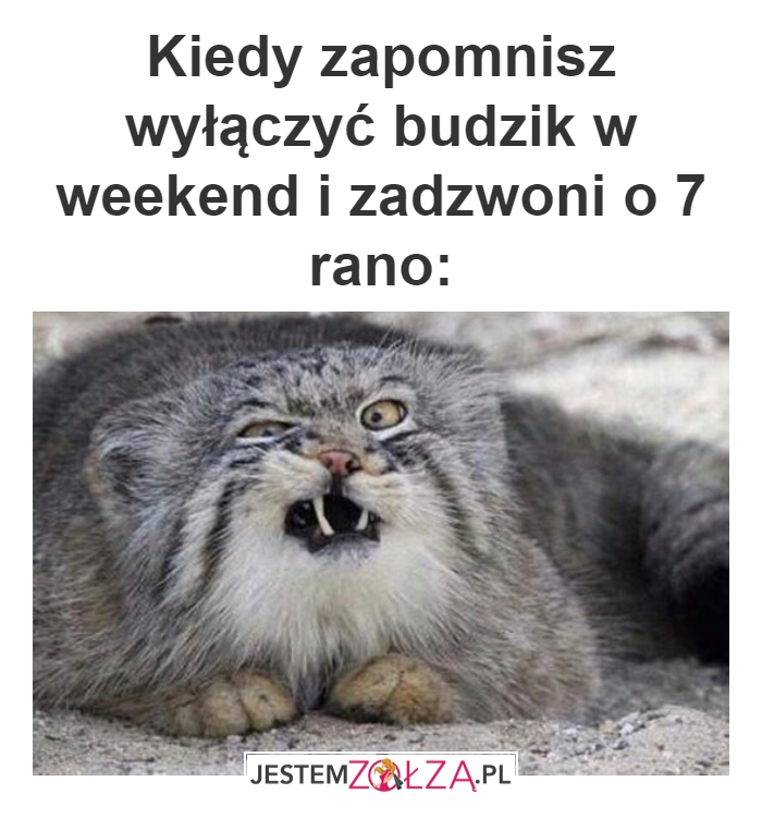 Budzik