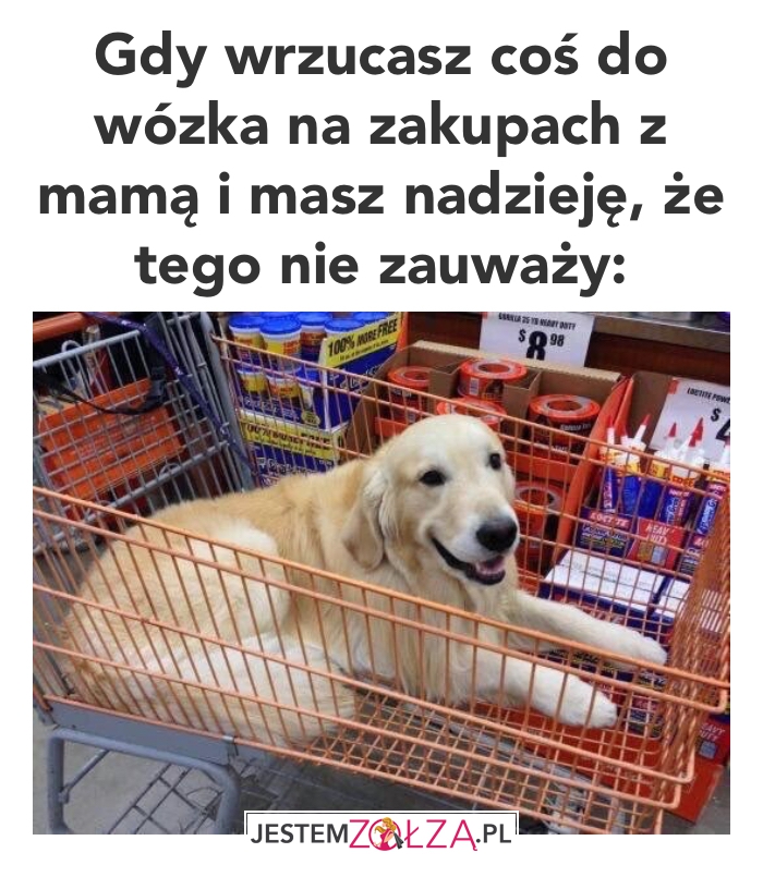 zakupy z mamą