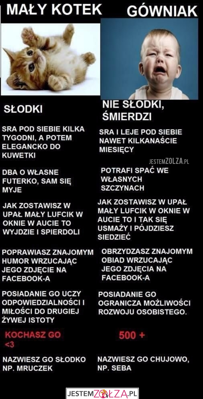Kotek vs dziecko