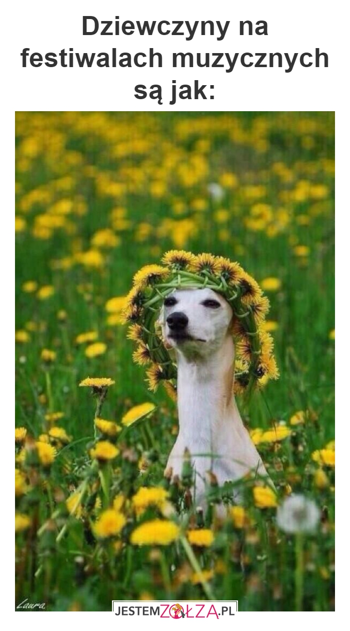 dziewczyny na festiwalach muzycznych