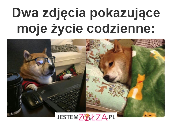 Czysta prawda