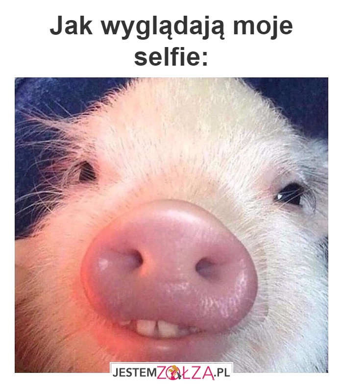 Świnka trochę...