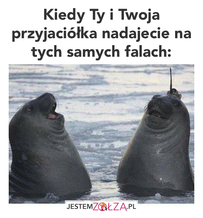 przyjaciółka