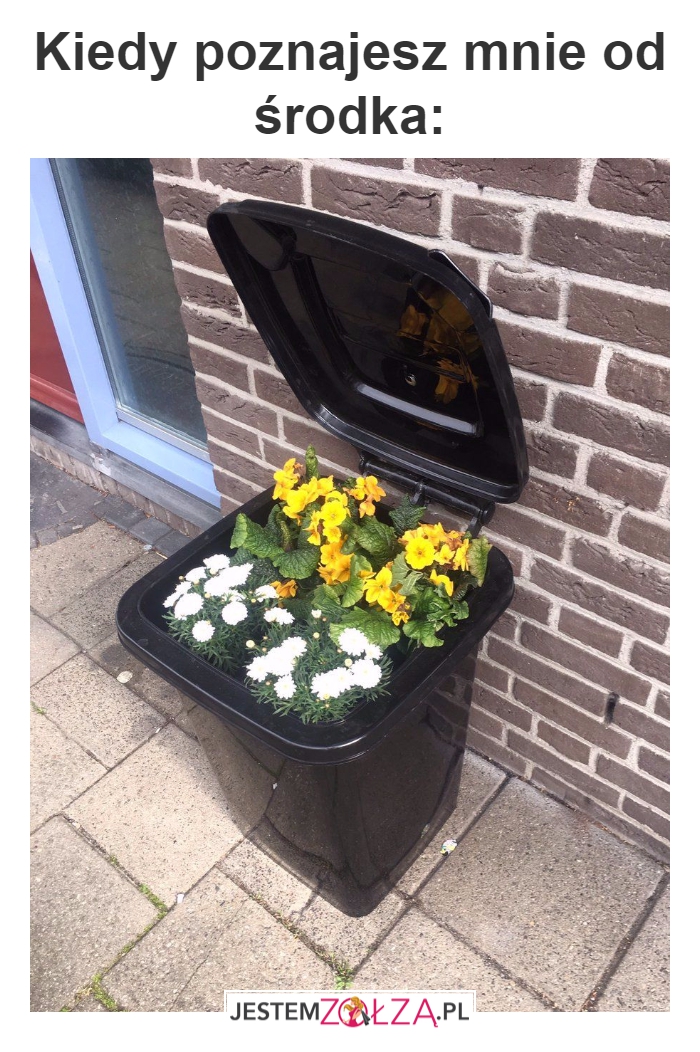 Bo w środku może kryć się piękno