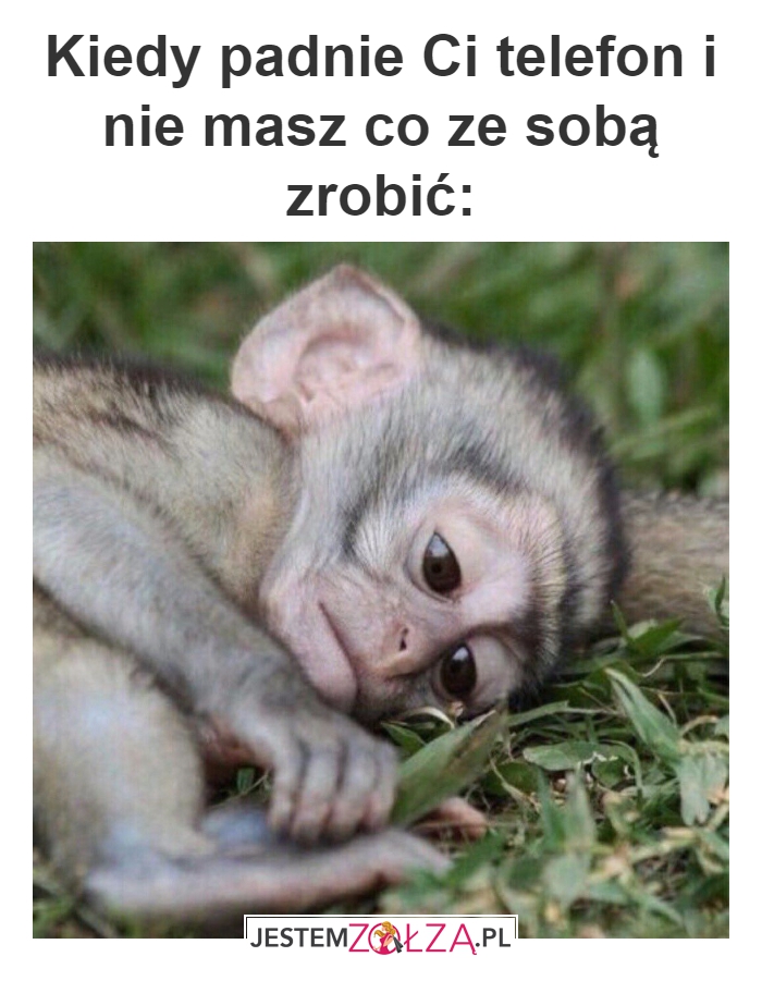 Co teraz?