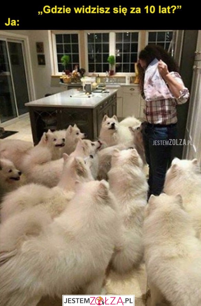 Gdzie widzisz się...