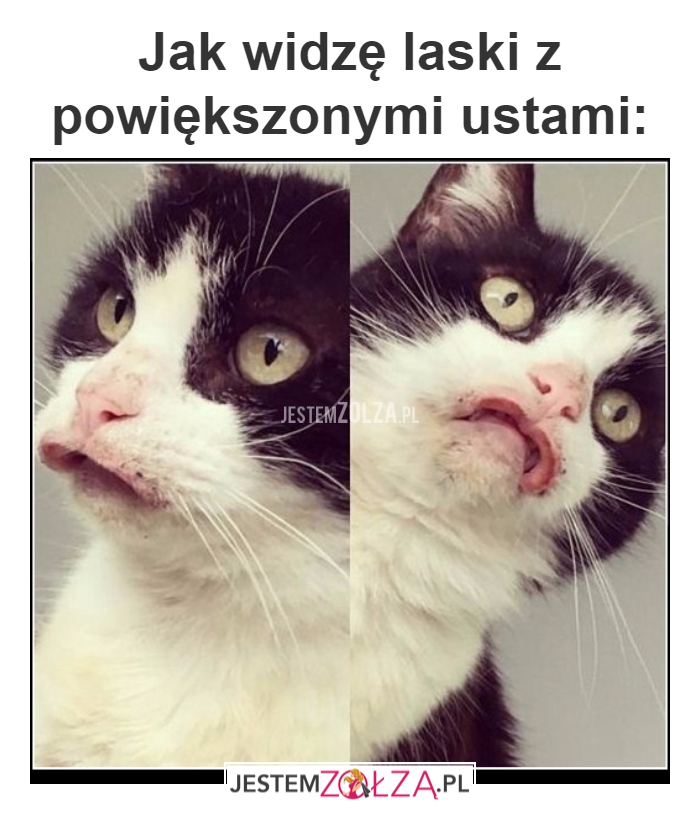 Jak widzę laski z powiększonymi...