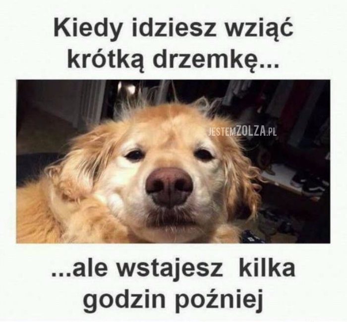 Kiedy idziesz wziąć...
