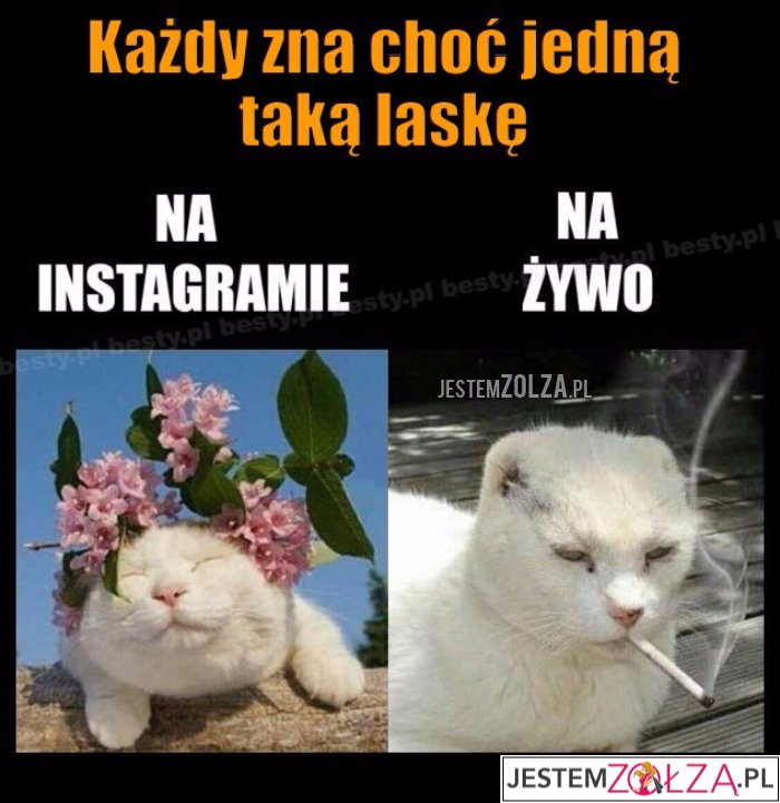 Każdy zna...