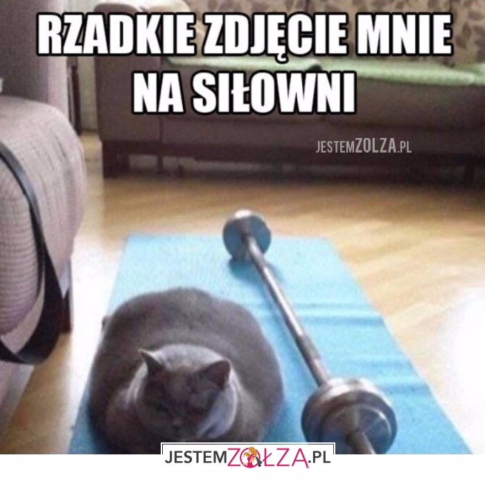Rzadkie zdjęcie