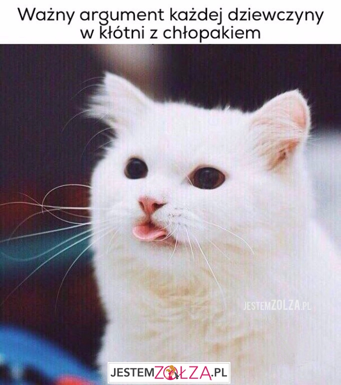 Ważny argument każdej...