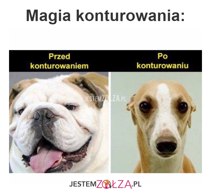 Magia konturowania...