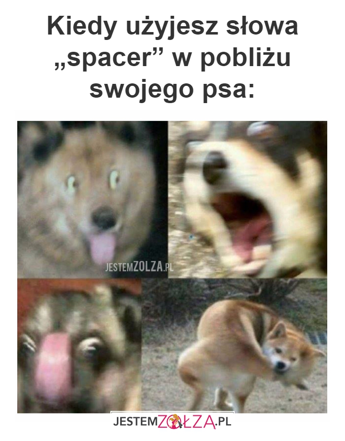 Kiedy użyjesz słowa...