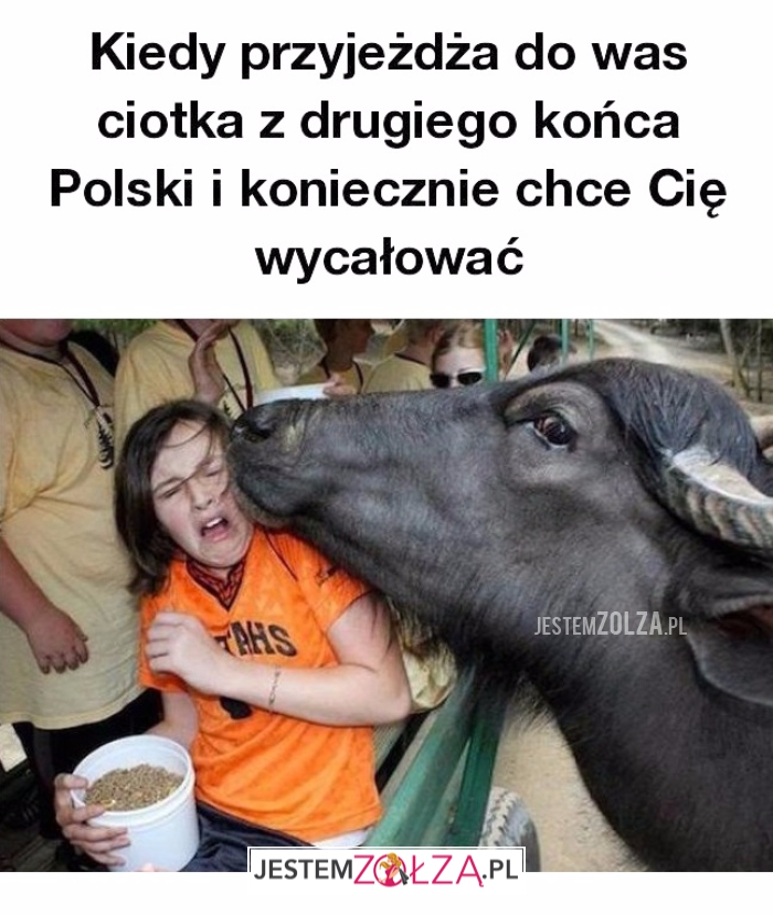 Ciotka...