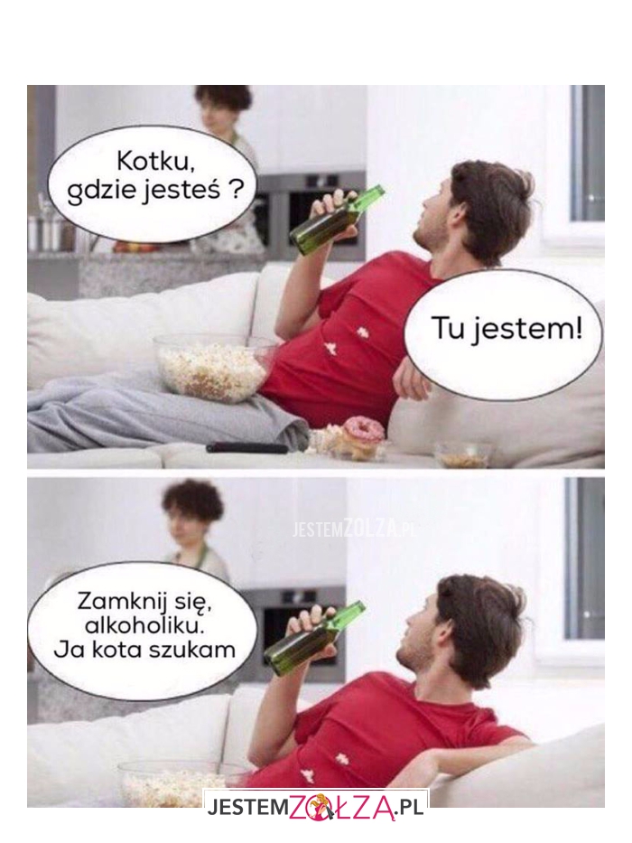 Kotku ,gdzie...