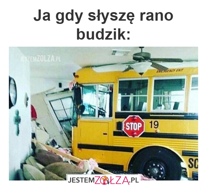 budzik