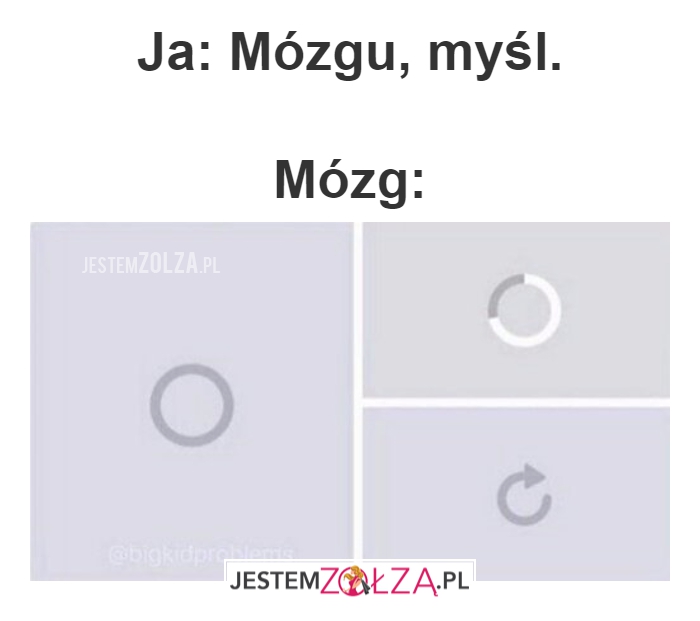 mózg