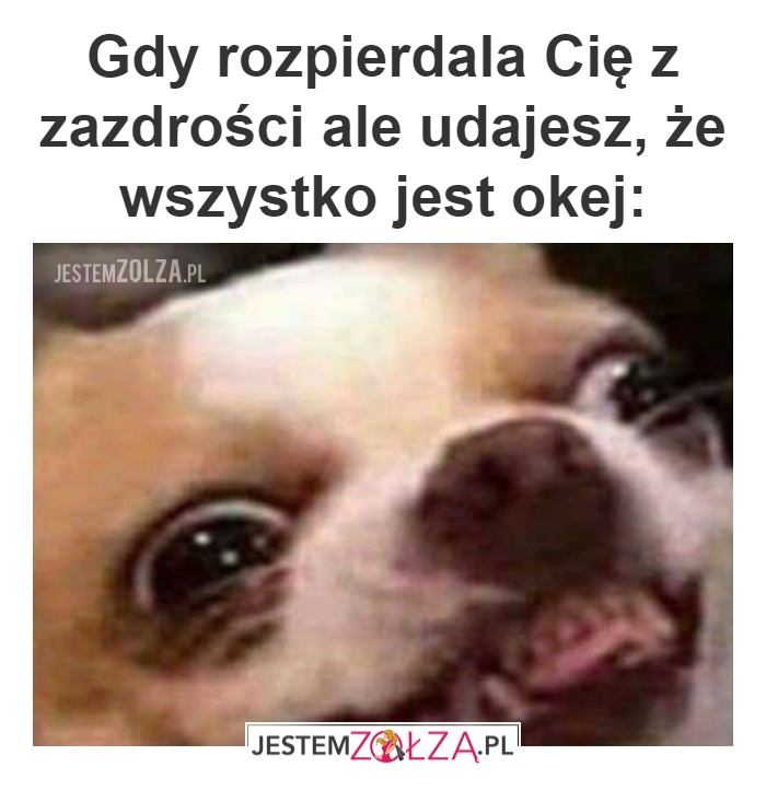 zazdrość