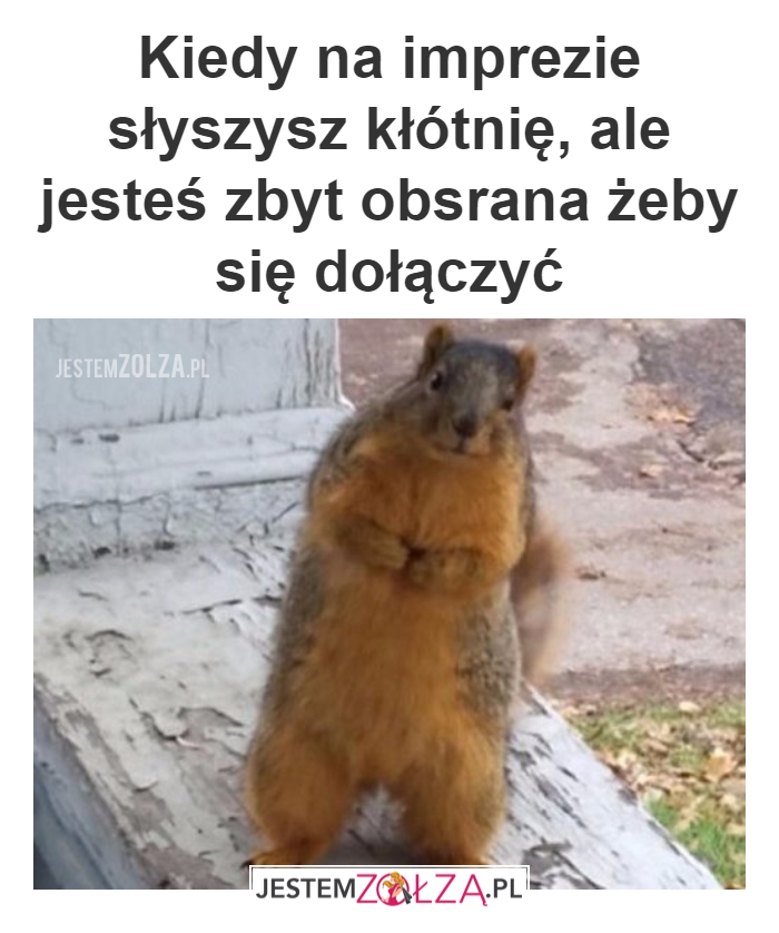 kłotnia