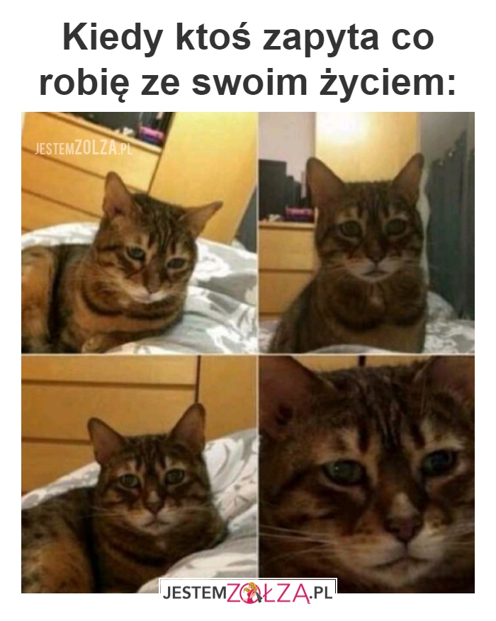 życie