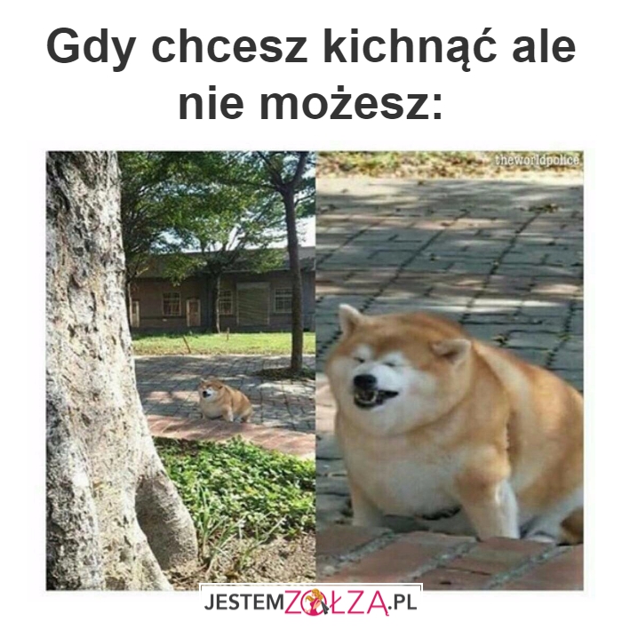 kichnięcie