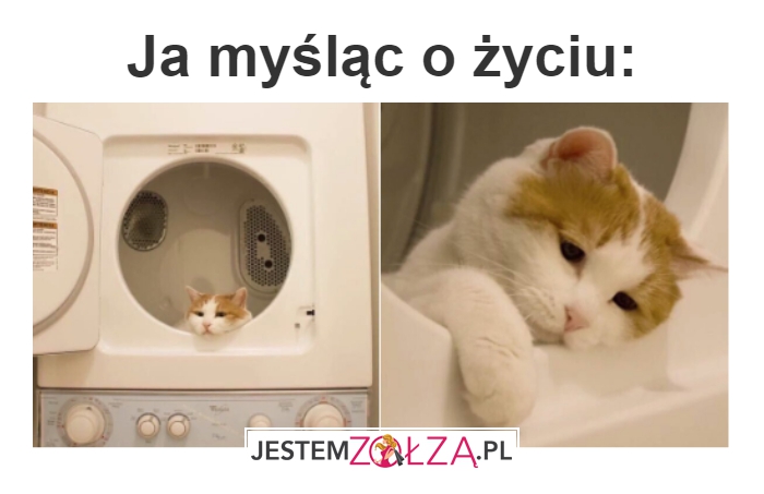 myśląc