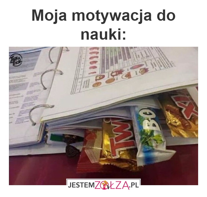 motywacja