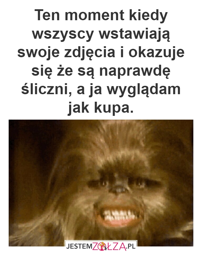 zdjęcia