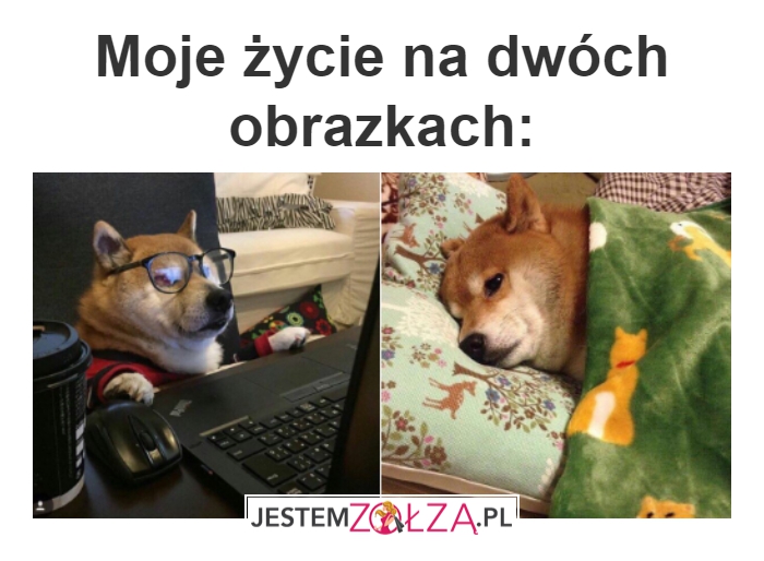 Tak jest...