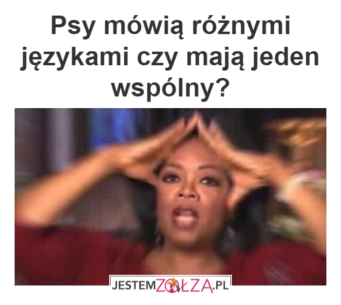 Zagadka dzieciństwa