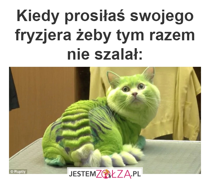 Fryzjer