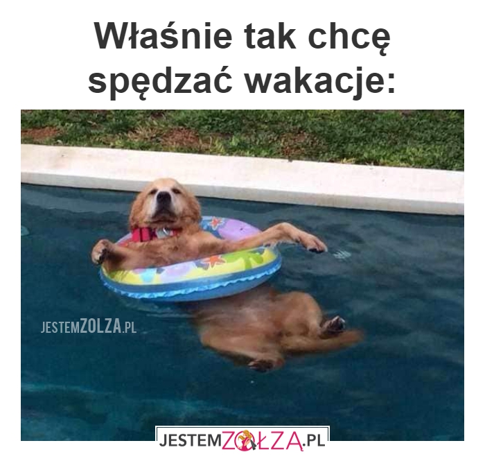 Wakacje