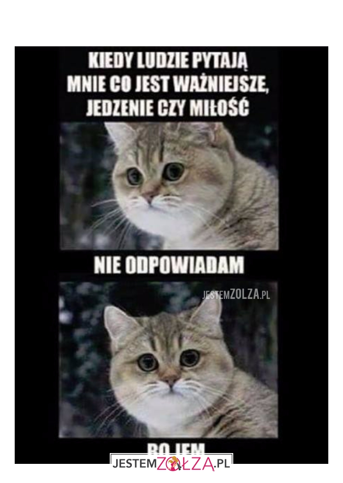 Kiedy ludzie pytają...