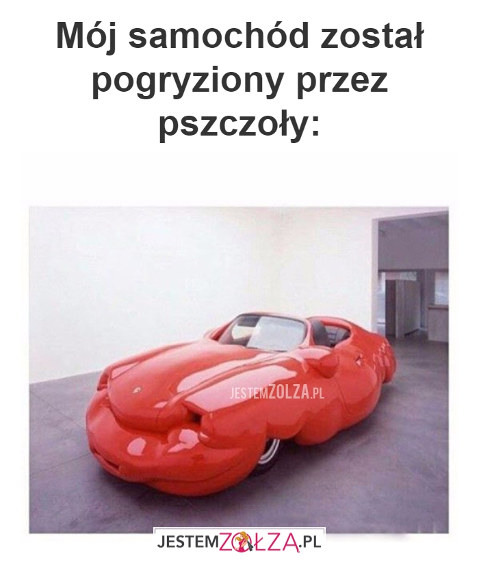 Mój samochód został...