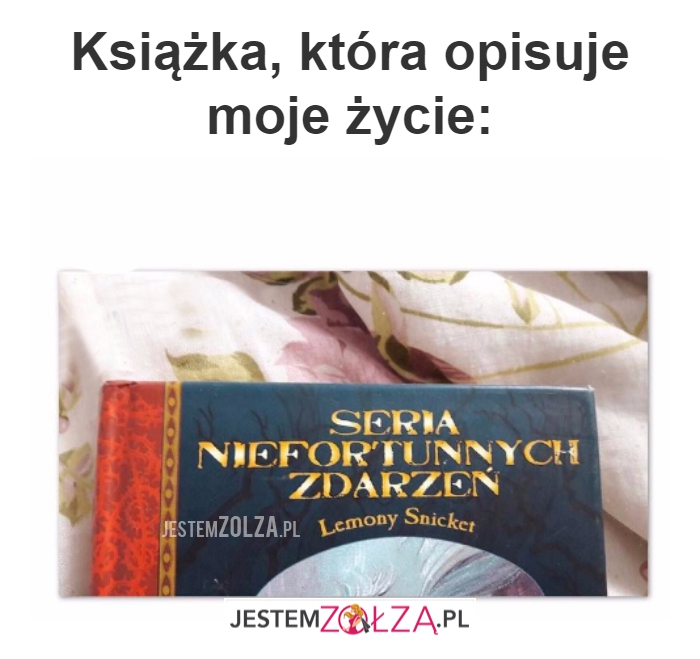 Książka, która opisuje...