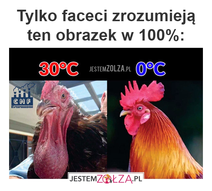 Tylko faceci zrozumieją...