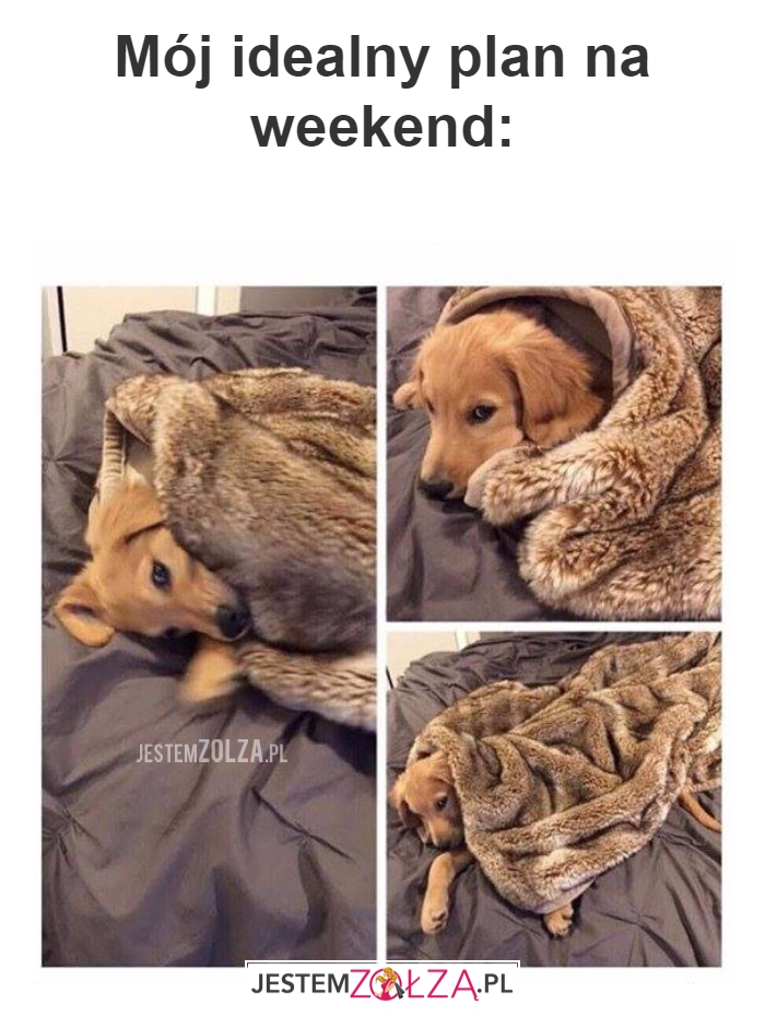Mój idealny plan...
